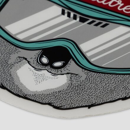 Coalatree - CT Ski Sticker