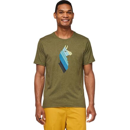 Cotopaxi - Llama Stripes Organic T-Shirt - Men's - Pine