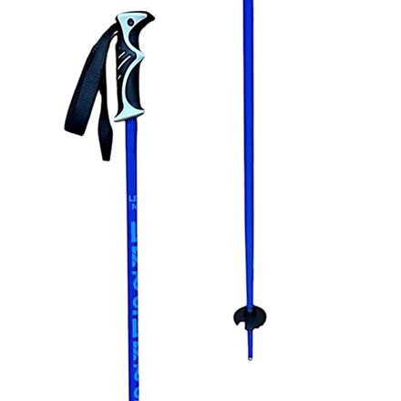 Ski Poles - 2025