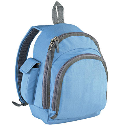 eagle creek travel bug mini backpack blue RFID Cushioned panels and adjustable straps keep comfort in check Eagle Creek Tour Travel Pack