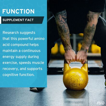 Fluid - 100% CREATINE MONOHYDRATE