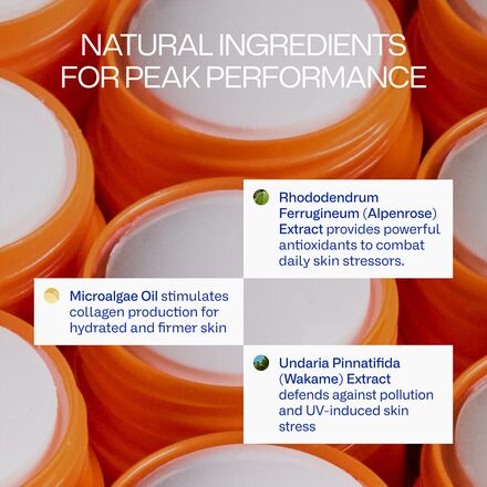 Freaks of Nature - Peak Performance Sun Stick