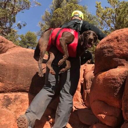Fido Pro - Airlift Emergency Dog Rescue Sling