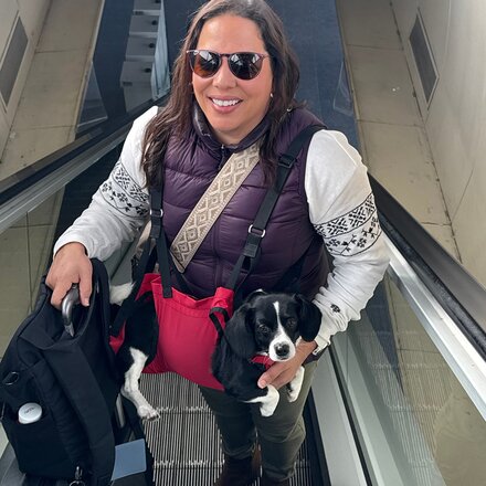 Fido Pro - Airlift Ultra-Lite Dog Sling