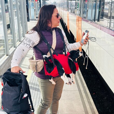 Fido Pro - Airlift Ultra-Lite Dog Sling