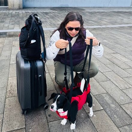 Fido Pro - Airlift Ultra-Lite Dog Sling