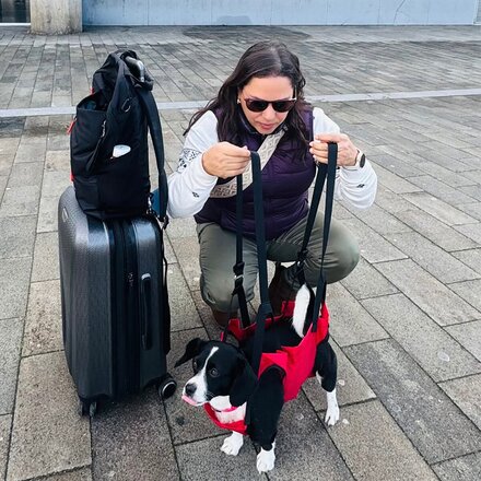 Fido Pro - Airlift Ultra-Lite Dog Sling