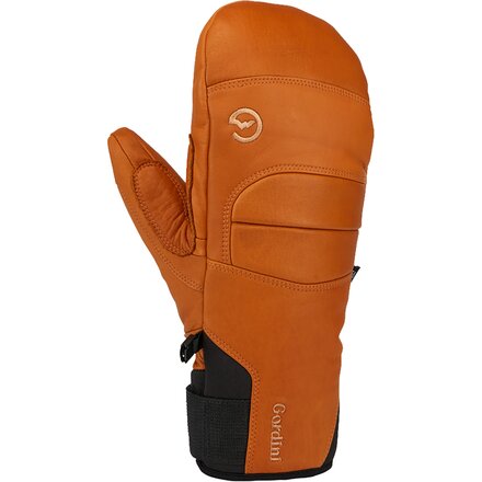 Alp Pro Mitten