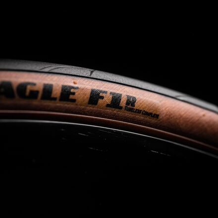 Goodyear - Eagle F1 R Clincher Tire