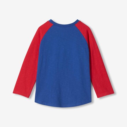 Hatley - Landscape Goggles Raglan T-Shirt - Boys'