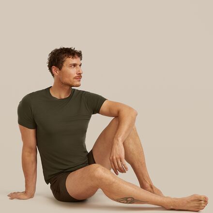 Icebreaker - Merino Anatomica 150 Short Sleeve Crewe - Men's