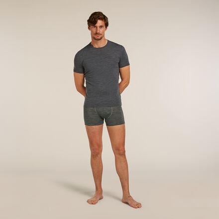 Icebreaker - Merino Anatomica 150 Short Sleeve Crewe - Men's
