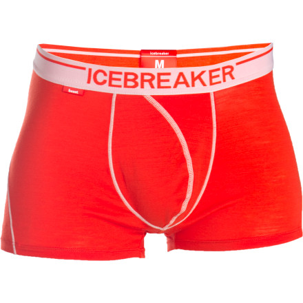 Icebreaker - Beast 150 Anatomica Boxer Underwear - Men's