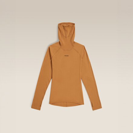 Icebreaker - 300 MerinoFine Polar Long-Sleeve Roll Neck Top - Men's