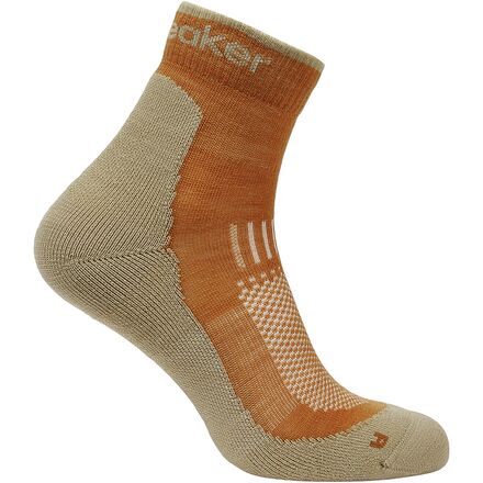 Merino Hike+ Light Mini Sock - Men's