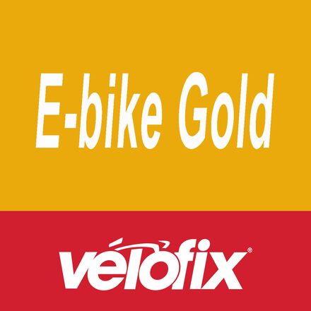 Gold Preventative Maintenance - eBike
