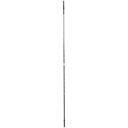 Life-Link - Mountain Lily Ski Pole/Probe - Women's