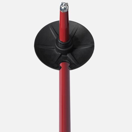 Line - Wallischtick Ski Poles