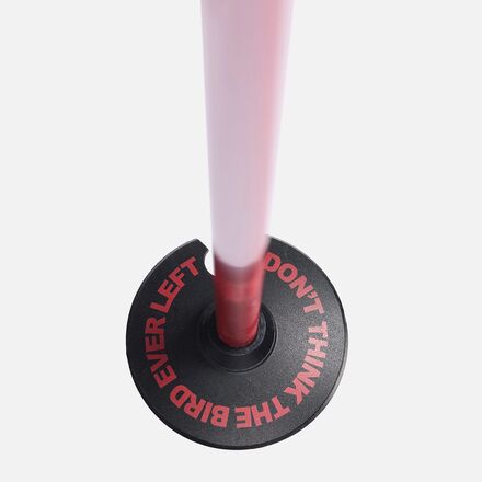 Line - Wallischtick Ski Poles