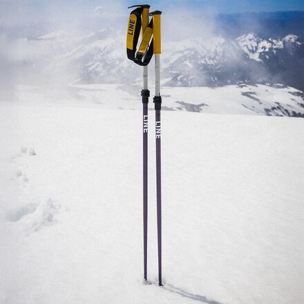 Line - Paintbrush Ski Poles