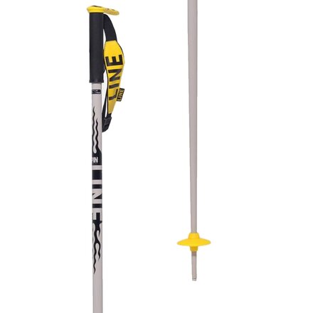 Pin Ski Poles