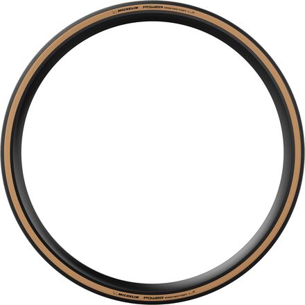 Michelin Power Protection Tire