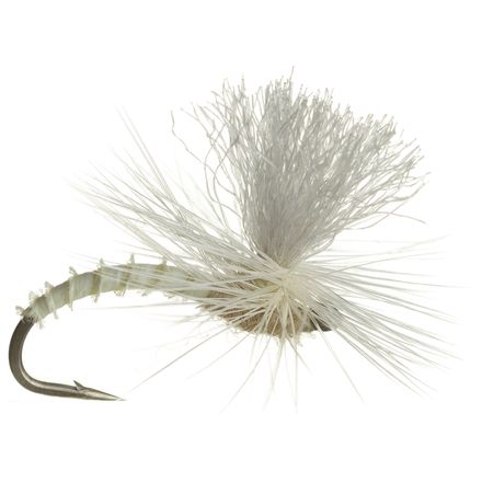 Montana Fly Company - Christiaens' GT Adult - 6-Pack