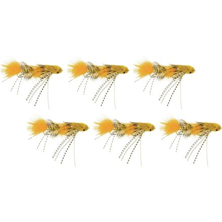 Galloup's Dungeon - 6 Pack
