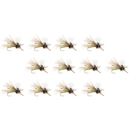 Montana Fly Company - Swisher's PMX - 12- Pack - Lime