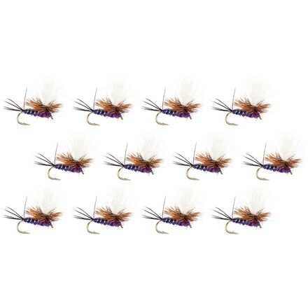 Para-Wulff - 12-Pack