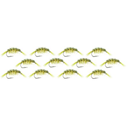 Montana Fly Company - Scud - 12-Pack - Olive