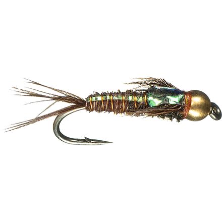 Montana Fly Company - BH Flashback Pheasant Tail - 12-Pack - One Color