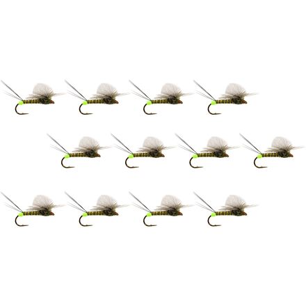 Hot Spot Para-Wulff - 12-Pack