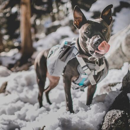 Mountainsmith - K-9 Pack