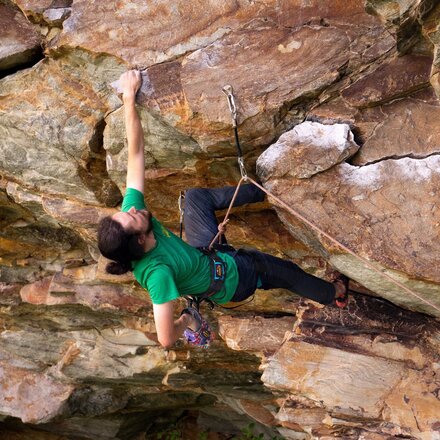 Misty Mountain - Bolt Harness