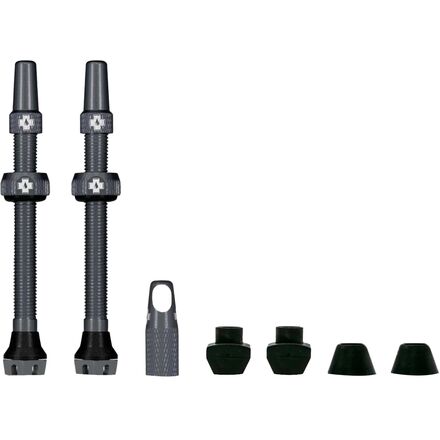 V2 Tubeless Valve Kit