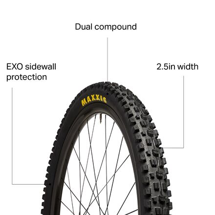 Maxxis - Assegai Wide Trail Dual Compound/EXO/TR 29in Tire