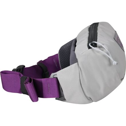 Mystery Ranch - Forager 2.5L Hip Pack
