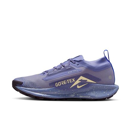 Nike - Pegasus Trail 5 GORE-TEX Running Shoe - Women's