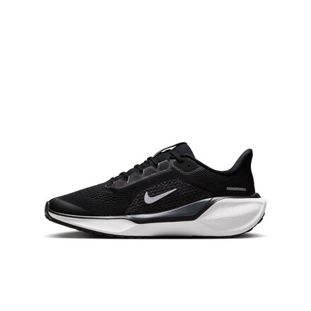 Nike - Pegasus 41 Shoe - Big Kids'