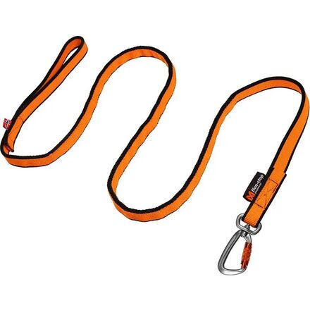 Bungee Leash