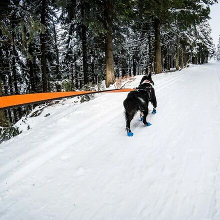 Non-stop Dogwear - Bungee Leash