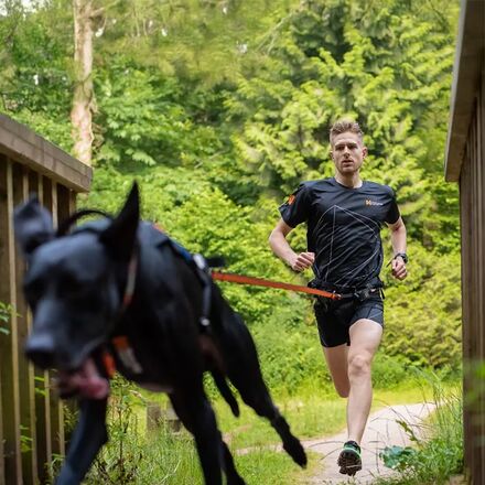 Non-stop Dogwear - Bungee Leash