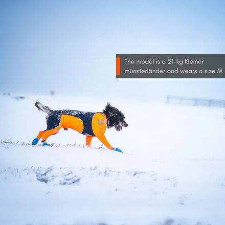 Non-stop Dogwear - Protector Snow - Male