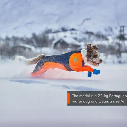Non-stop Dogwear - Protector Snow - Male