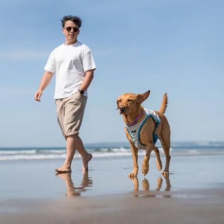 Non-stop Dogwear - Cooling Vest
