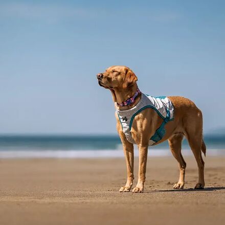 Non-stop Dogwear - Cooling Vest