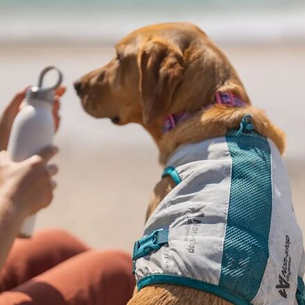 Non-stop Dogwear - Cooling Vest
