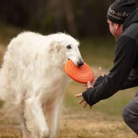 Non-stop Dogwear - Dog Flying Disc