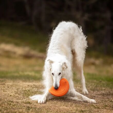 Non-stop Dogwear - Dog Flying Disc